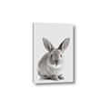 Picture of Button, the Bunny _GroupedProduct_Rectangle_Portrait_Canvas_