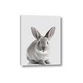 Picture of Button, the Bunny _GroupedProduct_Rectangle_Portrait_Canvas_