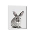 Picture of Button, the Bunny _GroupedProduct_Rectangle_Portrait_Canvas_