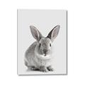 Picture of Button, the Bunny _GroupedProduct_Rectangle_Portrait_Canvas_