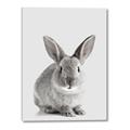 Picture of Button, the Bunny _GroupedProduct_Rectangle_Portrait_Canvas_