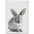 Picture of Button, the Bunny _GroupedProduct_Rectangle_Portrait_Canvas_
