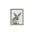 Picture of Button, the Bunny _GroupedProduct_Rectangle_Portrait_Canvas_Framed_