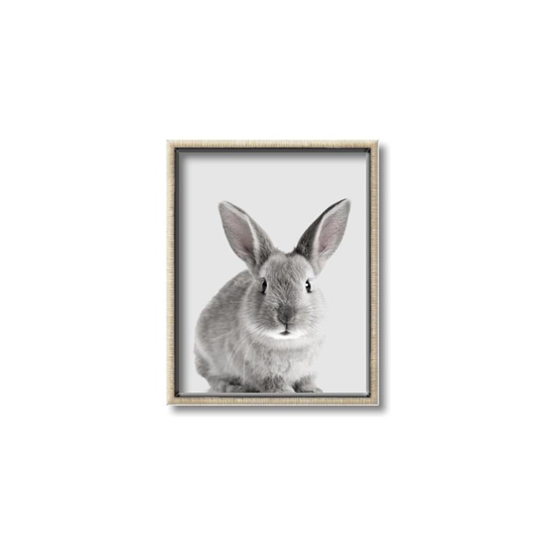 Picture of Button, the Bunny _GroupedProduct_Rectangle_Portrait_Canvas_Framed_