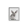 Picture of Button, the Bunny _GroupedProduct_Rectangle_Portrait_Canvas_Framed_