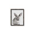 Picture of Button, the Bunny _GroupedProduct_Rectangle_Portrait_Canvas_Framed_