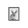 Picture of Button, the Bunny _GroupedProduct_Rectangle_Portrait_Canvas_Framed_