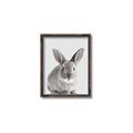 Picture of Button, the Bunny _GroupedProduct_Rectangle_Portrait_Canvas_Framed_