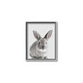 Picture of Button, the Bunny _GroupedProduct_Rectangle_Portrait_Canvas_Framed_