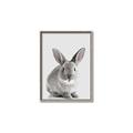 Picture of Button, the Bunny _GroupedProduct_Rectangle_Portrait_Canvas_Framed_