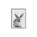 Picture of Button, the Bunny _GroupedProduct_Rectangle_Portrait_Canvas_Framed_
