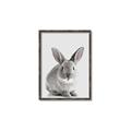 Picture of Button, the Bunny _GroupedProduct_Rectangle_Portrait_Canvas_Framed_