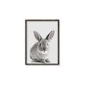 Picture of Button, the Bunny _GroupedProduct_Rectangle_Portrait_Canvas_Framed_