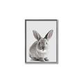 Picture of Button, the Bunny _GroupedProduct_Rectangle_Portrait_Canvas_Framed_