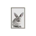 Picture of Button, the Bunny _GroupedProduct_Rectangle_Portrait_Canvas_Framed_