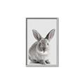 Picture of Button, the Bunny _GroupedProduct_Rectangle_Portrait_Canvas_Framed_