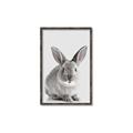 Picture of Button, the Bunny _GroupedProduct_Rectangle_Portrait_Canvas_Framed_