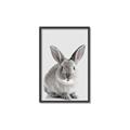 Picture of Button, the Bunny _GroupedProduct_Rectangle_Portrait_Canvas_Framed_