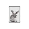 Picture of Button, the Bunny _GroupedProduct_Rectangle_Portrait_Canvas_Framed_