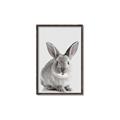 Picture of Button, the Bunny _GroupedProduct_Rectangle_Portrait_Canvas_Framed_