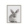 Picture of Button, the Bunny _GroupedProduct_Rectangle_Portrait_Canvas_Framed_