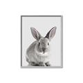 Picture of Button, the Bunny _GroupedProduct_Rectangle_Portrait_Canvas_Framed_