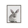 Picture of Button, the Bunny _GroupedProduct_Rectangle_Portrait_Canvas_Framed_