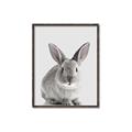 Picture of Button, the Bunny _GroupedProduct_Rectangle_Portrait_Canvas_Framed_