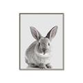 Picture of Button, the Bunny _GroupedProduct_Rectangle_Portrait_Canvas_Framed_
