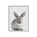 Picture of Button, the Bunny _GroupedProduct_Rectangle_Portrait_Canvas_Framed_