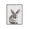 Picture of Button, the Bunny _GroupedProduct_Rectangle_Portrait_Canvas_Framed_