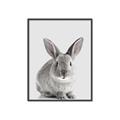 Picture of Button, the Bunny _GroupedProduct_Rectangle_Portrait_Canvas_Framed_