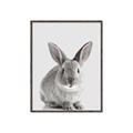 Picture of Button, the Bunny _GroupedProduct_Rectangle_Portrait_Canvas_Framed_