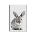Picture of Button, the Bunny _GroupedProduct_Rectangle_Portrait_Canvas_Framed_