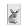 Picture of Button, the Bunny _GroupedProduct_Rectangle_Portrait_Canvas_Framed_
