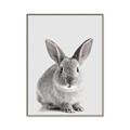 Picture of Button, the Bunny _GroupedProduct_Rectangle_Portrait_Canvas_Framed_