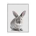 Picture of Button, the Bunny _GroupedProduct_Rectangle_Portrait_Canvas_Framed_