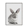 Picture of Button, the Bunny _GroupedProduct_Rectangle_Portrait_Canvas_Framed_