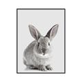 Picture of Button, the Bunny _GroupedProduct_Rectangle_Portrait_Canvas_Framed_