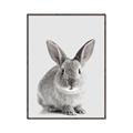 Picture of Button, the Bunny _GroupedProduct_Rectangle_Portrait_Canvas_Framed_