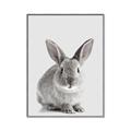 Picture of Button, the Bunny _GroupedProduct_Rectangle_Portrait_Canvas_Framed_