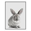 Picture of Button, the Bunny _GroupedProduct_Rectangle_Portrait_Canvas_Framed_
