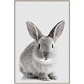 Picture of Button, the Bunny _GroupedProduct_Rectangle_Portrait_Canvas_Framed_