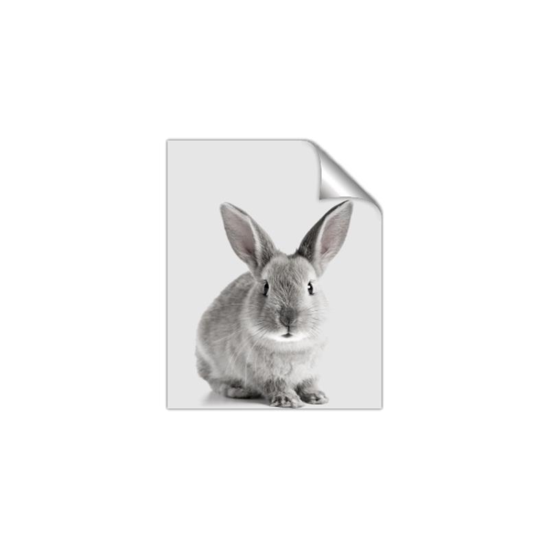 Picture of Button, the Bunny _GroupedProduct_Rectangle_Portrait_Unframed_Print_Only_