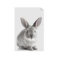Picture of Button, the Bunny _GroupedProduct_Rectangle_Portrait_Unframed_Print_Only_
