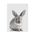 Picture of Button, the Bunny _GroupedProduct_Rectangle_Portrait_Unframed_Print_Only_