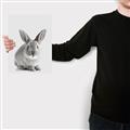 Picture of Button, the Bunny _GroupedProduct_Rectangle_Portrait_Canvas_