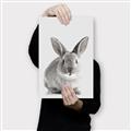 Picture of Button, the Bunny _GroupedProduct_Rectangle_Portrait_Canvas_