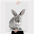 Picture of Button, the Bunny _GroupedProduct_Rectangle_Portrait_Canvas_