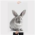 Picture of Button, the Bunny _GroupedProduct_Rectangle_Portrait_Canvas_